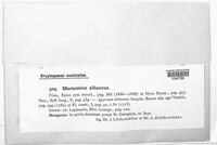 Image Associated With the Occurrence